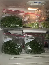 تجریه خرید کیسه زیپ دار زیپ بگ دلاور مدل اسلایدر دو بسته 30 عددی