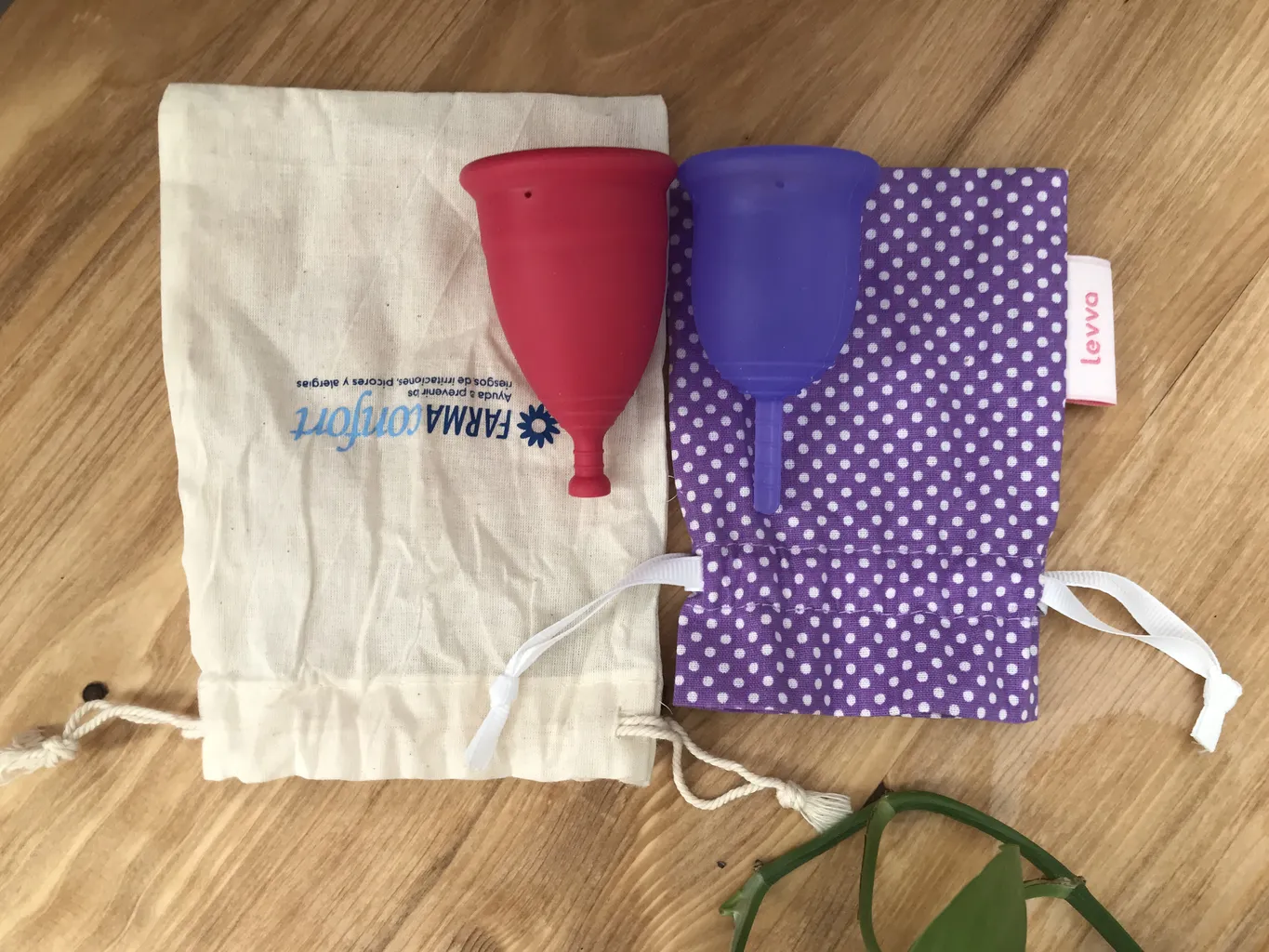 کاپ قاعدگی لیوا فارما مدل 01 سایز کوچک