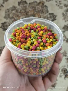 تجریه خرید پلیت میوه ای طوطی سانان مدل rf33 وزن 250 گرم