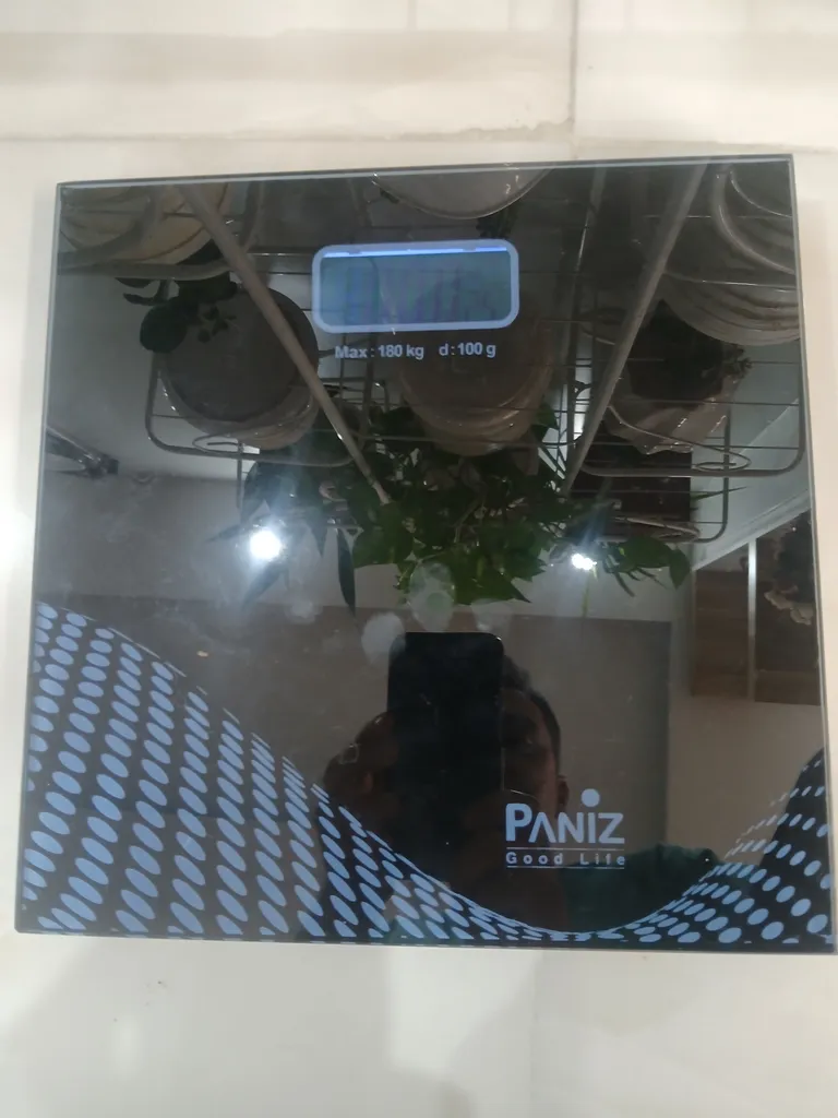 ترازو دیجیتال پانیذ مدل PA4508