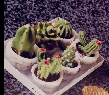 شمع طرح کاکتوس مجموعه 6 عددی