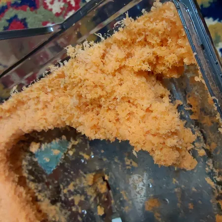 آبمیوه گیری نانیوا مدل MJ-176NR