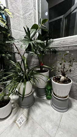 صندلی حمام بازن مدل 91010