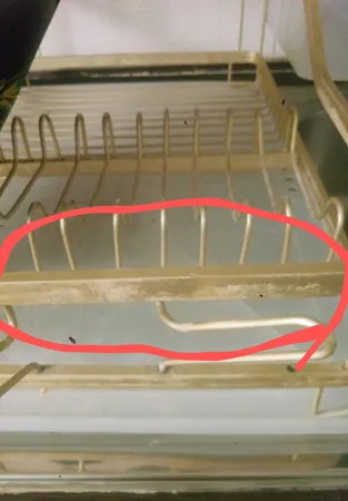 آبچکان مدل نیلوفر کد 3