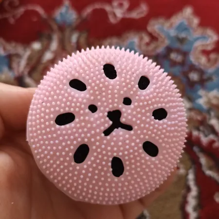 برس پاک کننده صورت مدل i10