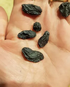 تجریه خرید مویز صادراتی آنید - 500 گرم