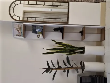 آینه الف مدل   قدی طرح تاج کد 2