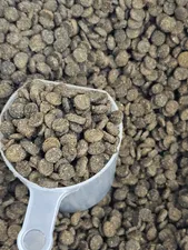 تجریه خرید غذای خشک گربه نوتری پت مدل Adult وزن 10 کیلوگرم