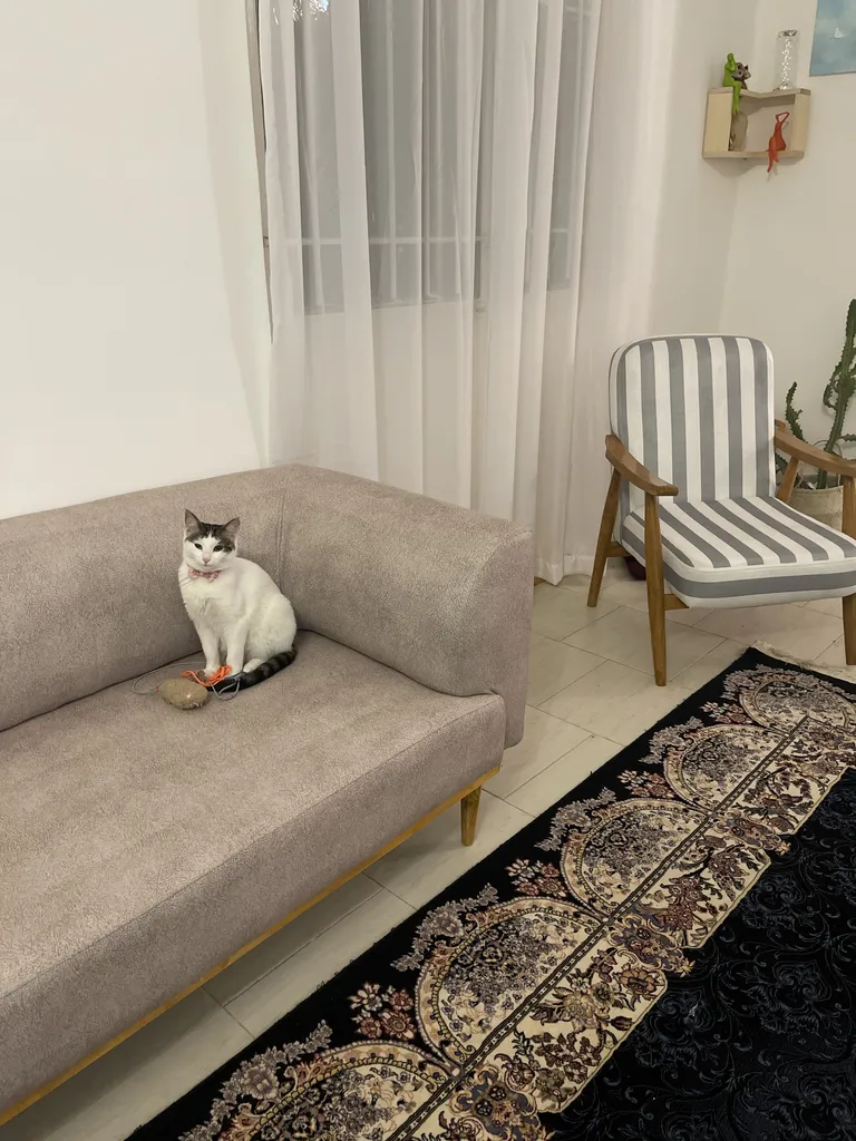 مبل راحتی 8 نفره شاهان دکور مدل مدرن 010