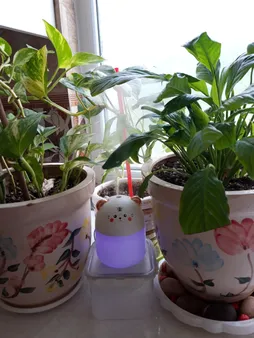 دستگاه بخور سرد مدل 188