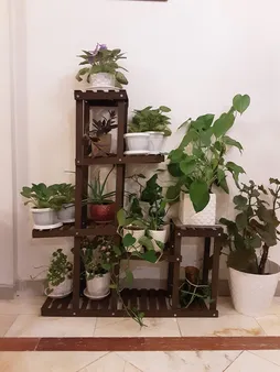 استند گلدان مدل fl9