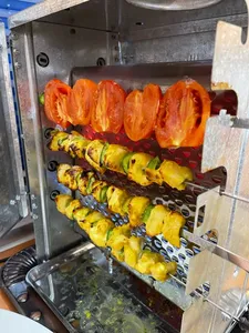 تجریه خرید کباب پز دادلیسان مدل 2021