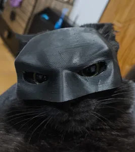 تجریه خرید ماسک ایفای نقش مدل گربه و سگ طرح بتمن