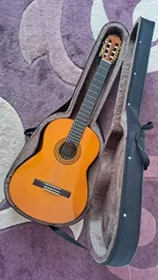 هارد کیس گیتار کلاسیک مدل black