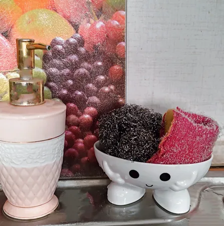 جا صابونی مدل BABYrim بسته دوعددی