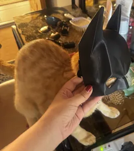 تجریه خرید ماسک ایفای نقش مدل بتمن طرح شوالیه مرگ Batman Death Knight