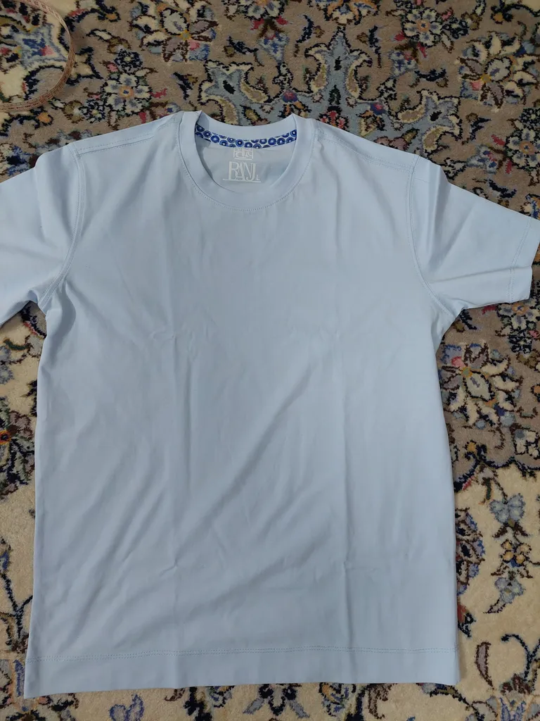 تی شرت آستین کوتاه مردانه رانژ مدل ساده 23RA05 - 409 رنگ آبی