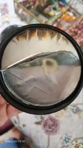 تجریه خرید پودر کراتین مونوهیدرات نوتراسن - 300 گرم