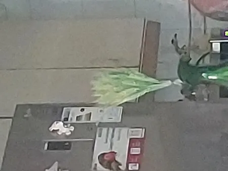 دسته گل خشک مدل خوشه گندم کد 20