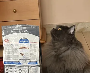 تجریه خرید غذای خشک گربه رویال کنین Light Weight Care وزن 1.5 کیلوگرم