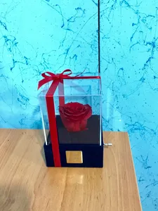 تجریه خرید جعبه موزیکال گل ماندگار دکوفیوره مدل رز جاودان ملودی Happy birthday