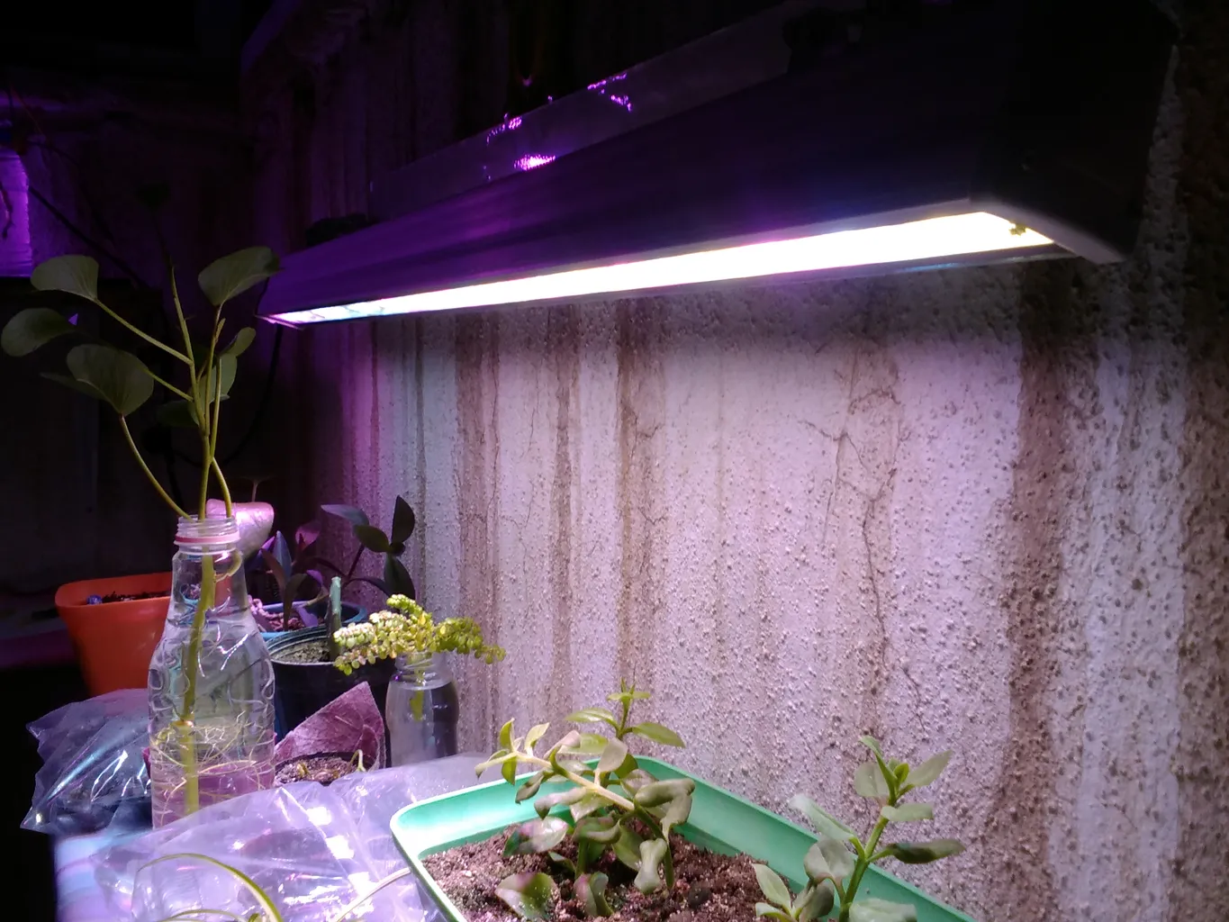 وال واشر ال ای دی رشد گیاه 24 وات مدل BS-24