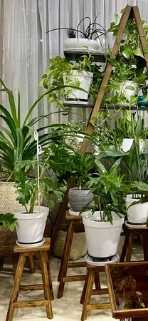 استند گلدان مدل چهارپایه A121 مجموعه سه عددی