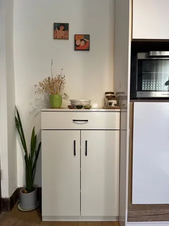 جاکفشی مدل BJ2