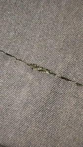 تجریه خرید بارانی زنانه السانا مدل پوپر کد 233837