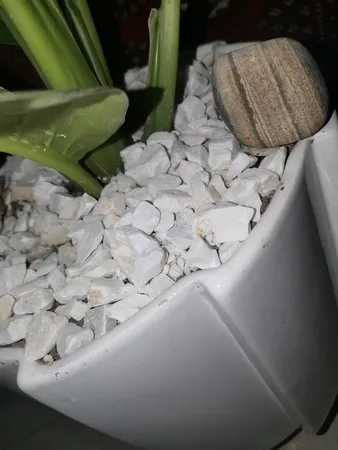 سنگ تزیینی مدل D10 وزن 1 کیلو گرم