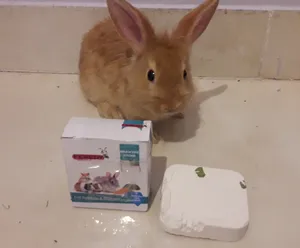 تجریه خرید سنگ کلسیم جوندگان فردی مدل Gnawng S وزن 80 گرم