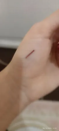 مداد لب استودیو میکاپ مدل SLL شماره 06