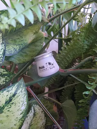 کرم سفید کننده و آبرسان ایمجز مدل 01 حجم 80 میلی لیتر