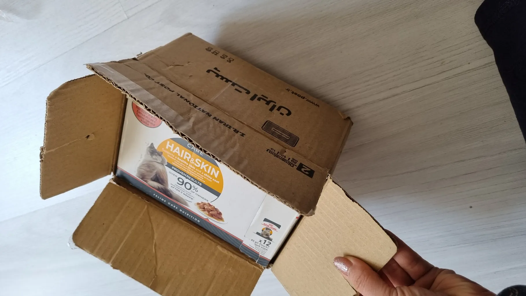 غذای پوچ گربه رویال کنین مدل هیر اند اسکین وزن 85 گرم