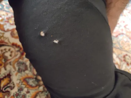 تاپ کلاه دار ورزشی مردانه اولسون مدل sport