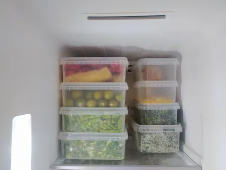 ظرف نگهدارنده فریزری مدل 650 بسته 10 عددی