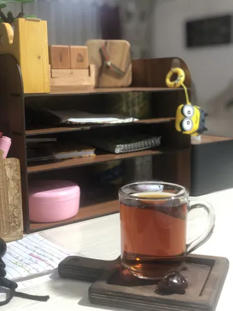 کازیه پاراکو مدل S01