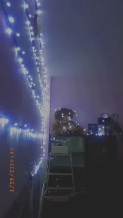 ریسه ال ای دی روژ کد  به طول 25 متر