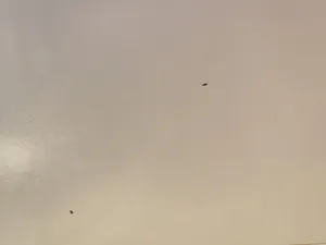 تجریه خرید میز پاتختی مدل X536