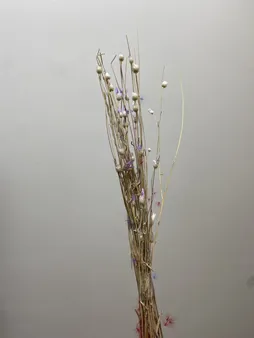 گل خشک مدل ستاره ای