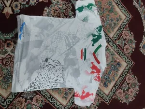 تجریه خرید تی شرت ورزشی مردانه مدل هواداری تیم ملی ایران 2023