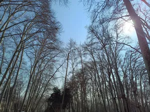 تجریه خرید گوشی موبایل داریا مدل bond 5G دو سیم کارت ظرفیت 256 گیگابایت و رم 8 گیگابایت