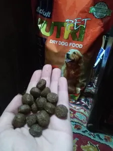 تجریه خرید غذای خشک سگ نوتری پت مدل Adult 21Percent Probiotic وزن 2 کیلوگرم