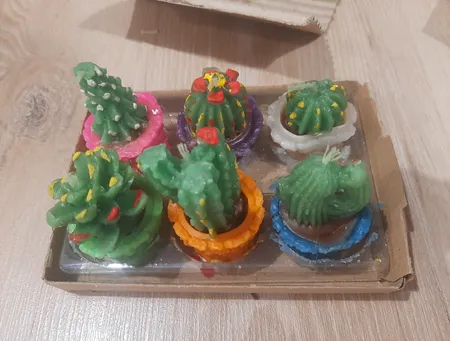 شمع طرح کاکتوس مجموعه 6 عددی