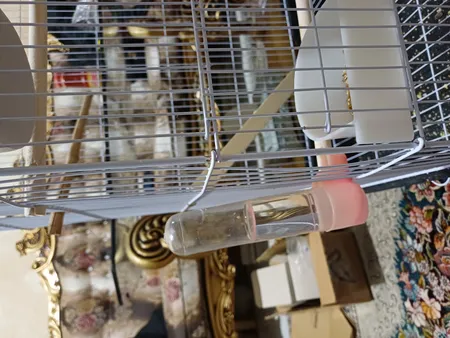 قفس عروس هلندی مدل 1034