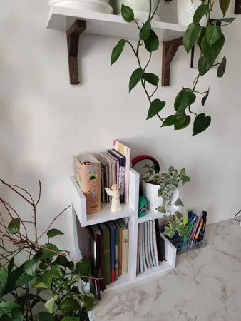 کتابخانه رومیزی مدل کاکتوس