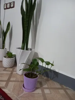 گلدان مدل آیما 11