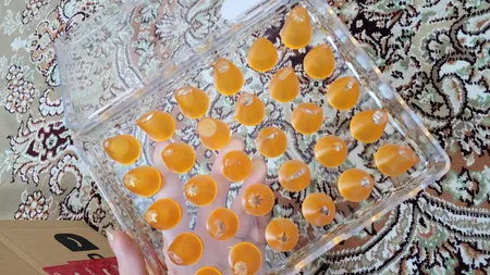 ماسوره قیف مدل 8579 مجموعه 30 عددی