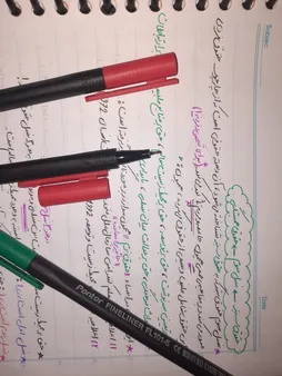 روان نویس پنتر مدل FL 101