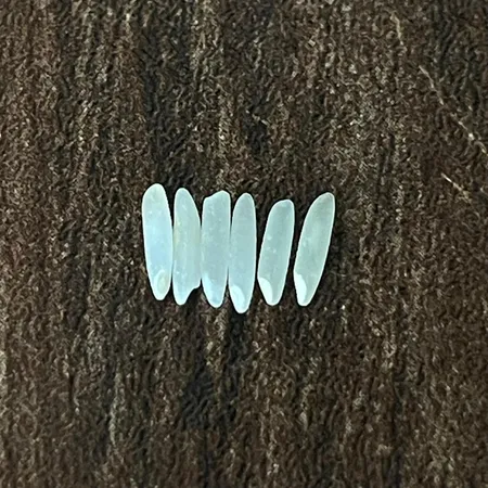 برنج ایرانی دم سیاه سنتی  فاخر ایرانی - 4.5 کیلوگرم